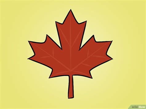 maple leaf drawing|maple leaf drawing template.